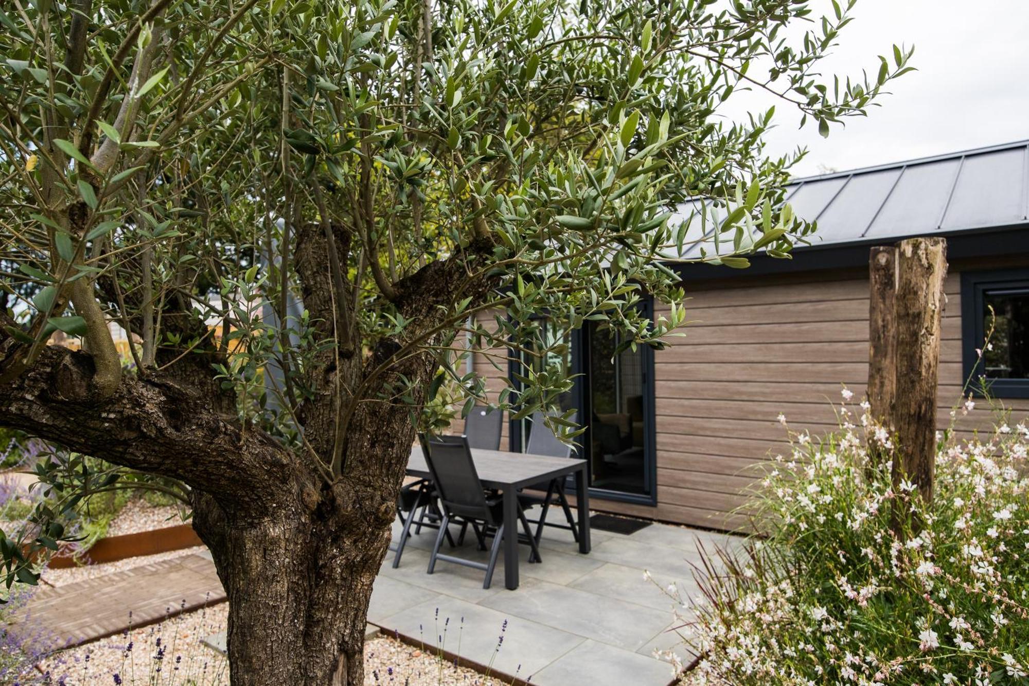 Modern Ingericht Chalet Op Groen Park Op De Veluwe Epe Exterior photo