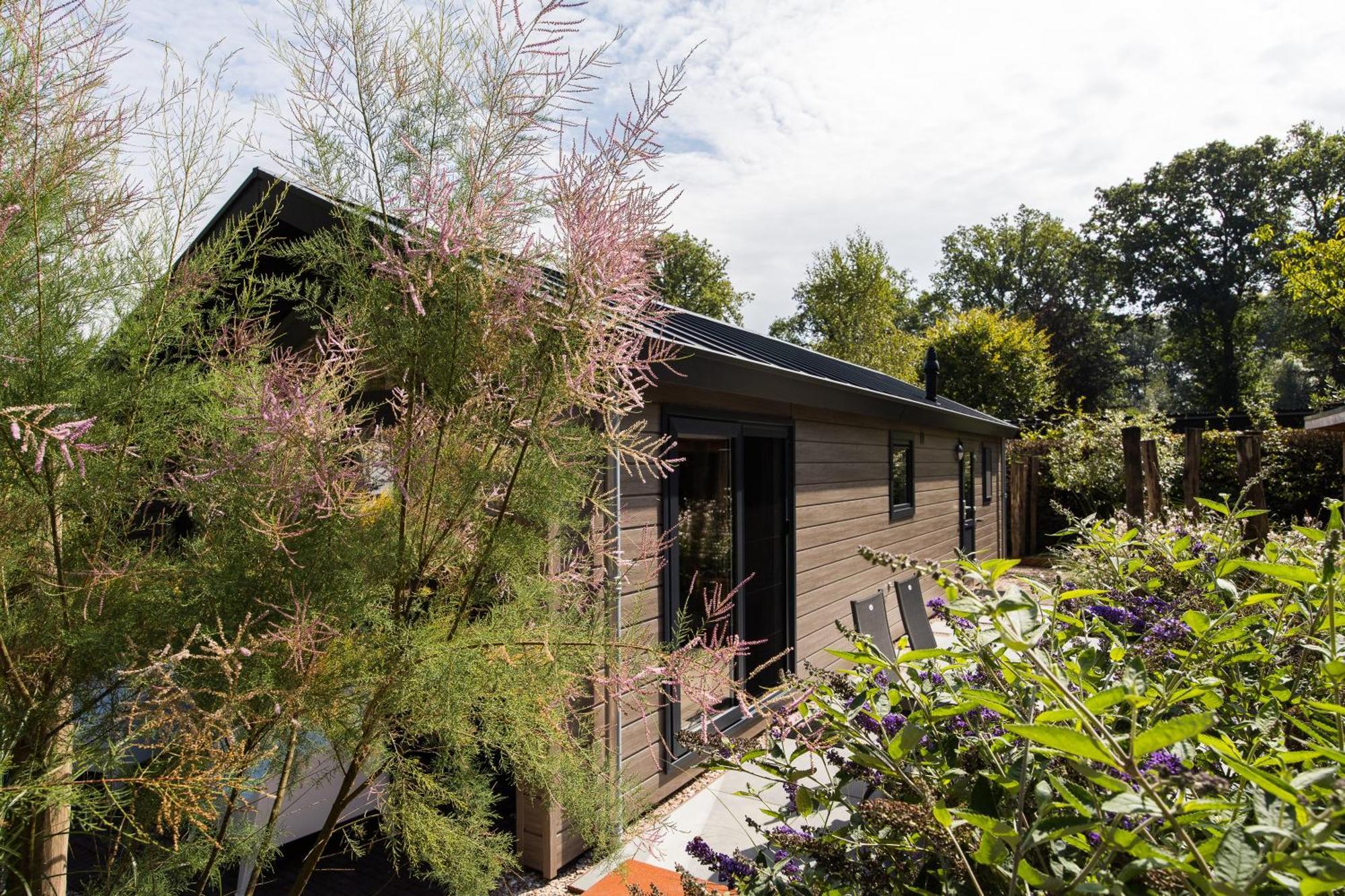 Modern Ingericht Chalet Op Groen Park Op De Veluwe Epe Exterior photo