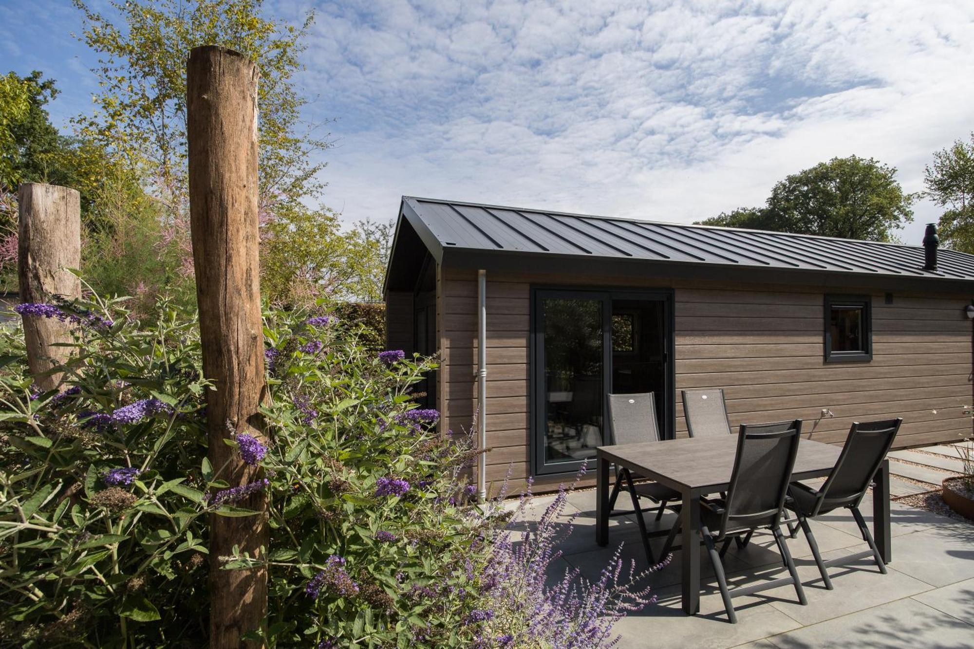 Modern Ingericht Chalet Op Groen Park Op De Veluwe Epe Exterior photo